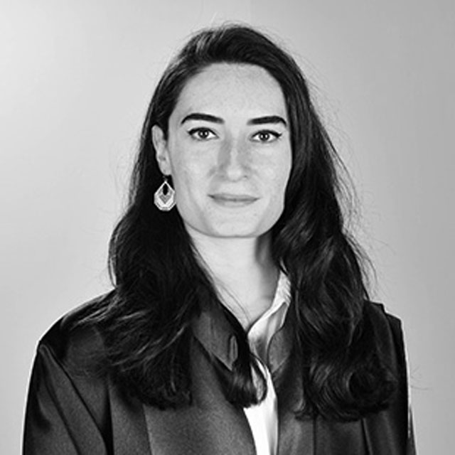 Dr. Öğr. Üyesi Ece Naz Ermiş