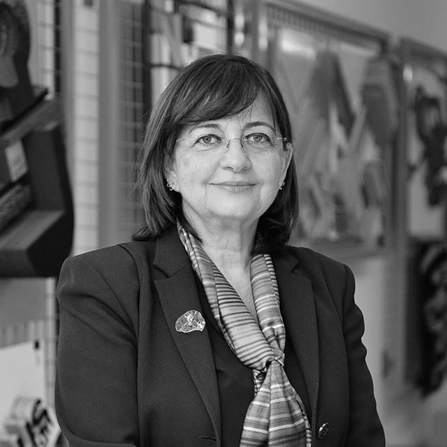 Prof. Dr. Neslihan Dostoğlu